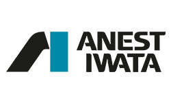 Anest Iwata