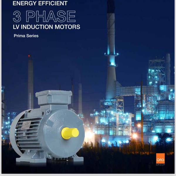 SINGLE AND THREE PHASE INDUCTION MOTORS